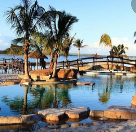 een buitenzwembad met palmbomen en water bij Nghunghwa Lodge in Vila Praia Do Bilene