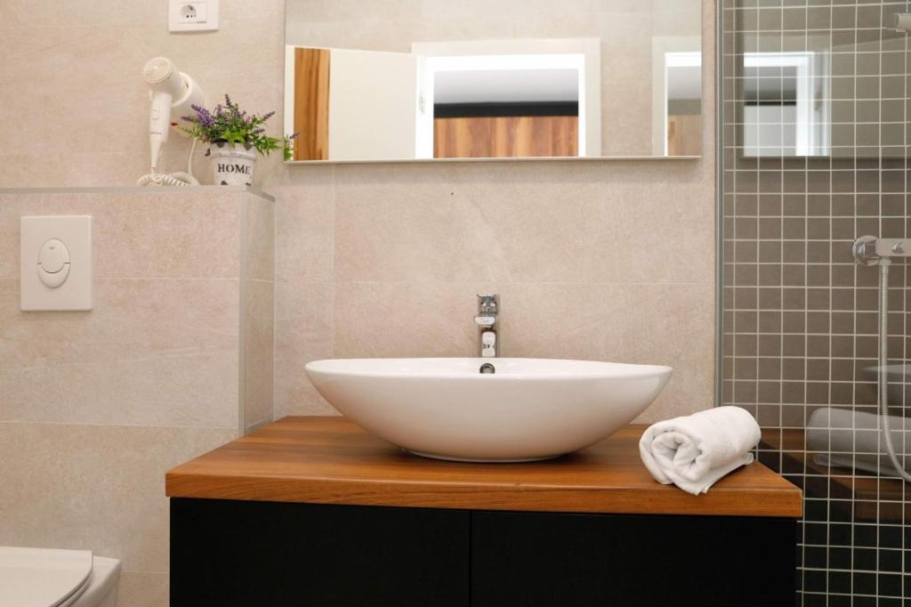 Kúpeľňa v ubytovaní Apartment in Brela with sea view, terrace, air conditioning, WiFi 3524-8