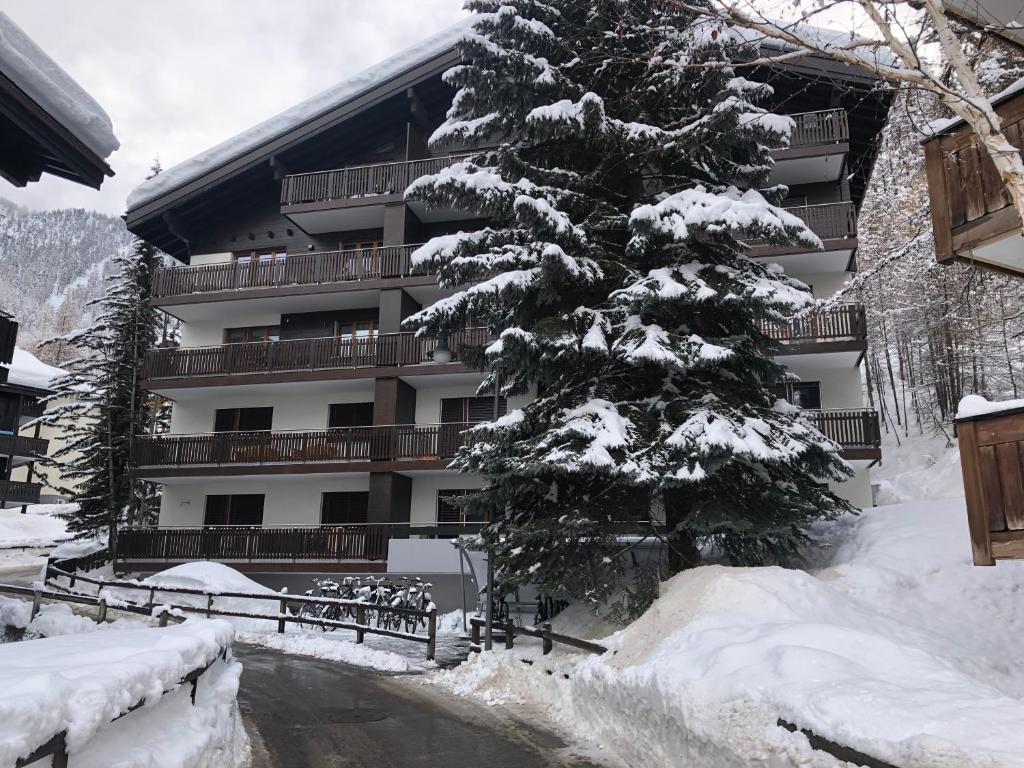 een met sneeuw bedekte dennenboom voor een gebouw bij Haus Vitalis in Zermatt