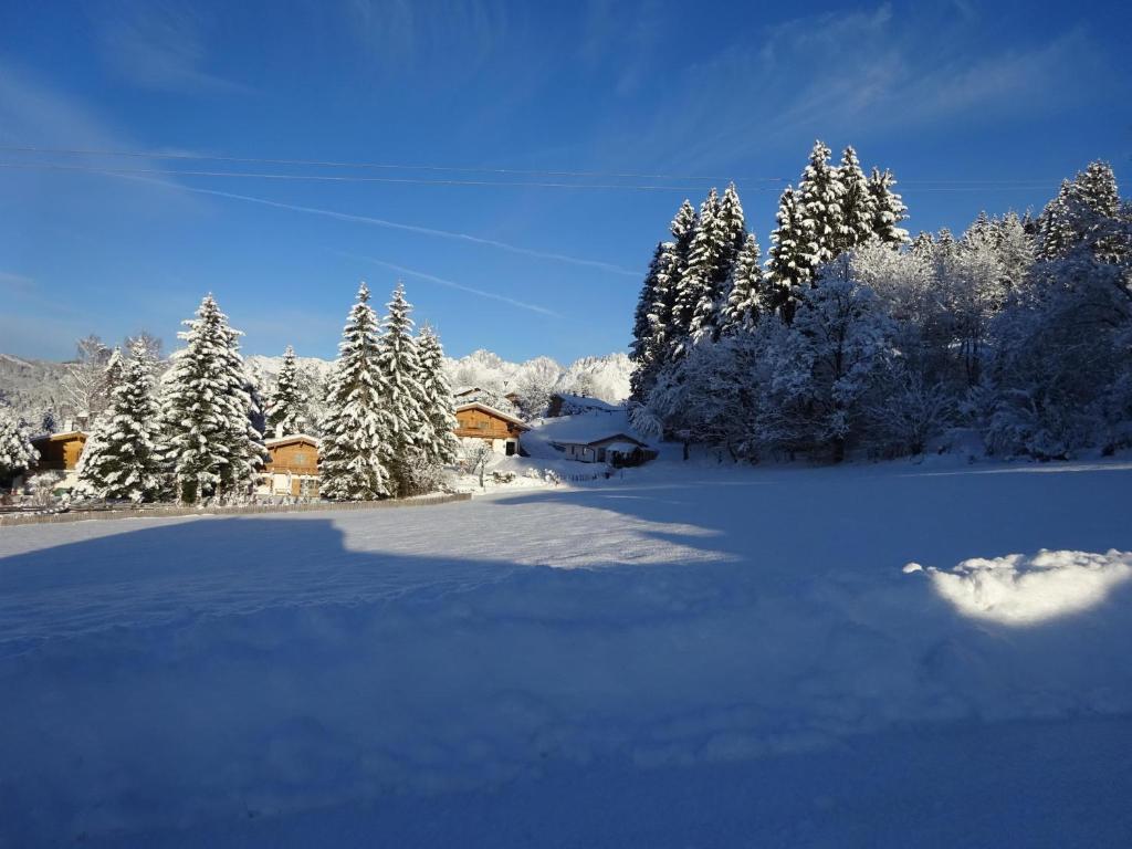 een veld bedekt met sneeuw met bomen en een huis bij Apartment Sabrina in Kitzbühel