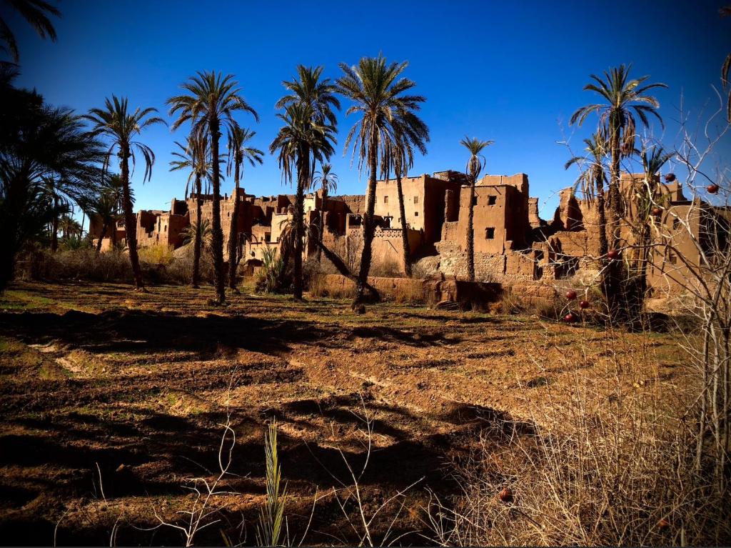 an old building with palm trees in a field at Maison d'hôte ''J'' in Agdz