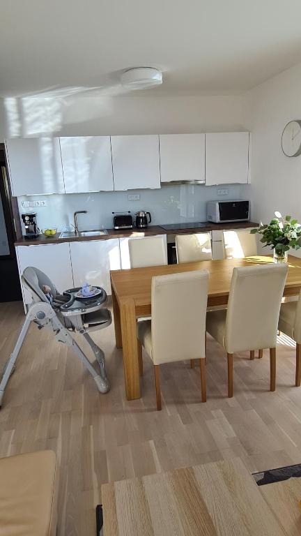 Kuchyň nebo kuchyňský kout v ubytování Horní Mísečky - apartmán M20