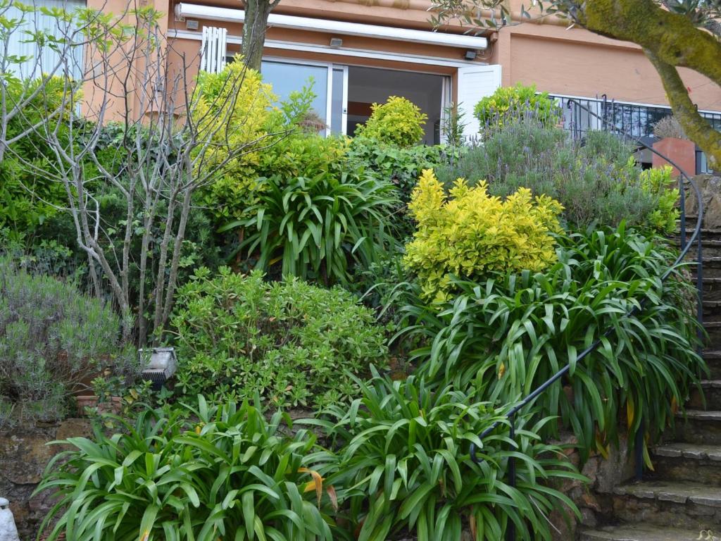 Zahrada ubytování Apartament singer