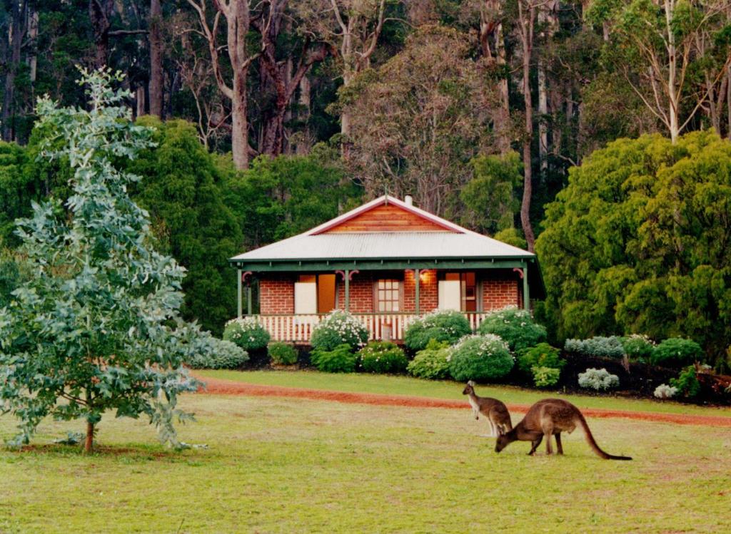 a kangaroo standing in a field in front of a house at Karri Valley Chalets in Pemberton