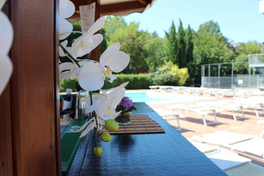 Balkón nebo terasa v ubytování Piccolo Hotel Nogara