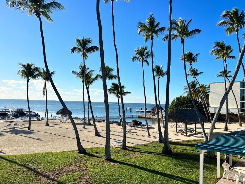 uma vista para uma praia com palmeiras e para o oceano em Breezy Palms Resort em Islamorada