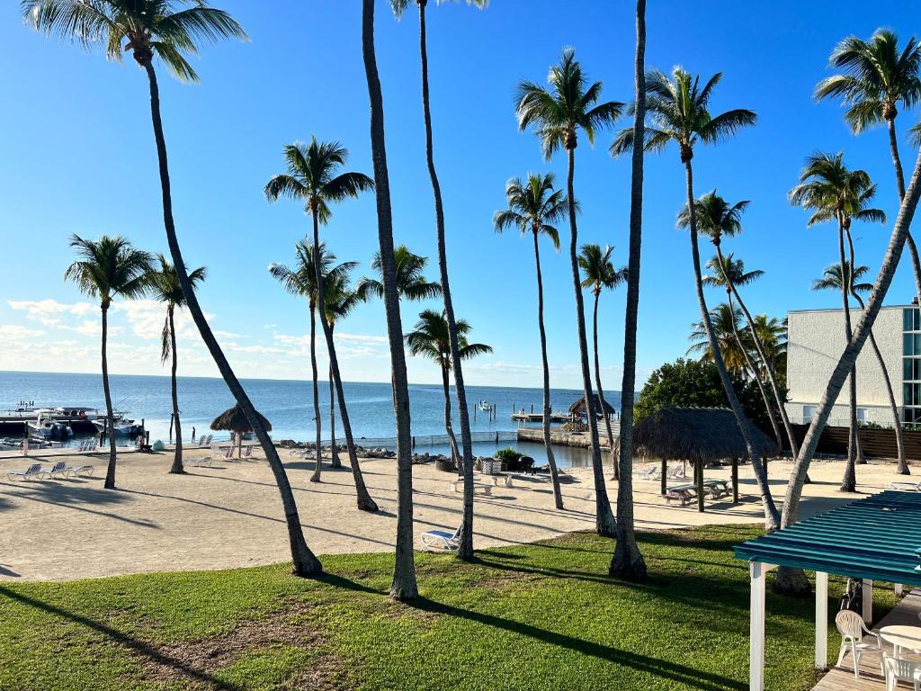 a view of a beach with palm trees and the ocean at Breezy Palms Resort in Islamorada