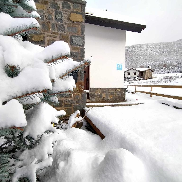 Casa Cotefablo Alojamiento Ara Gavin, Biescas during the winter