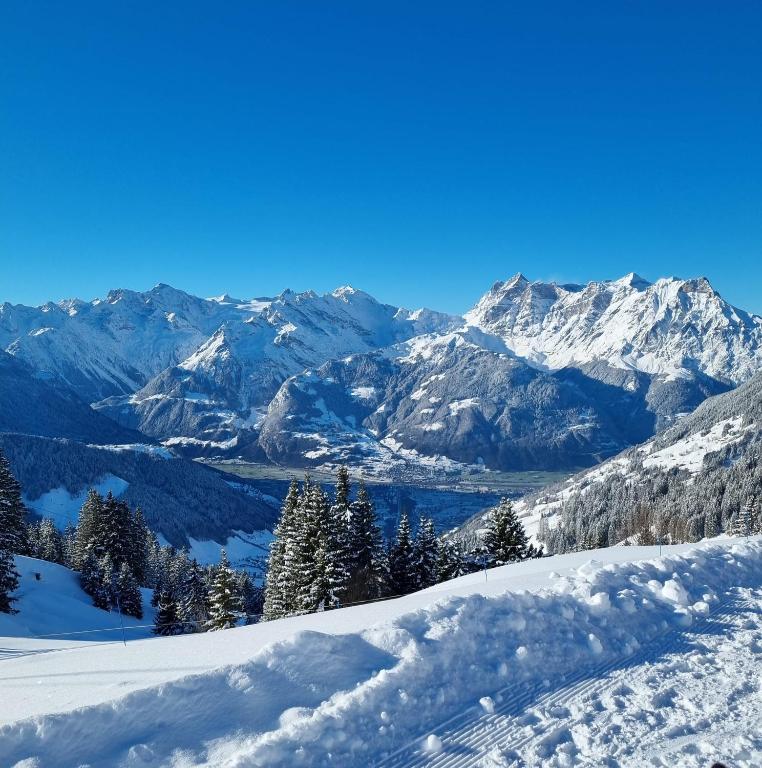 a snowy mountain with a view of a lake and mountains at Hotel Krone in Attinghausen