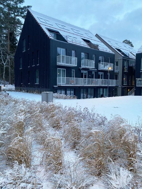 Neringarent STUDIO-APARTAMENTAI v zimě