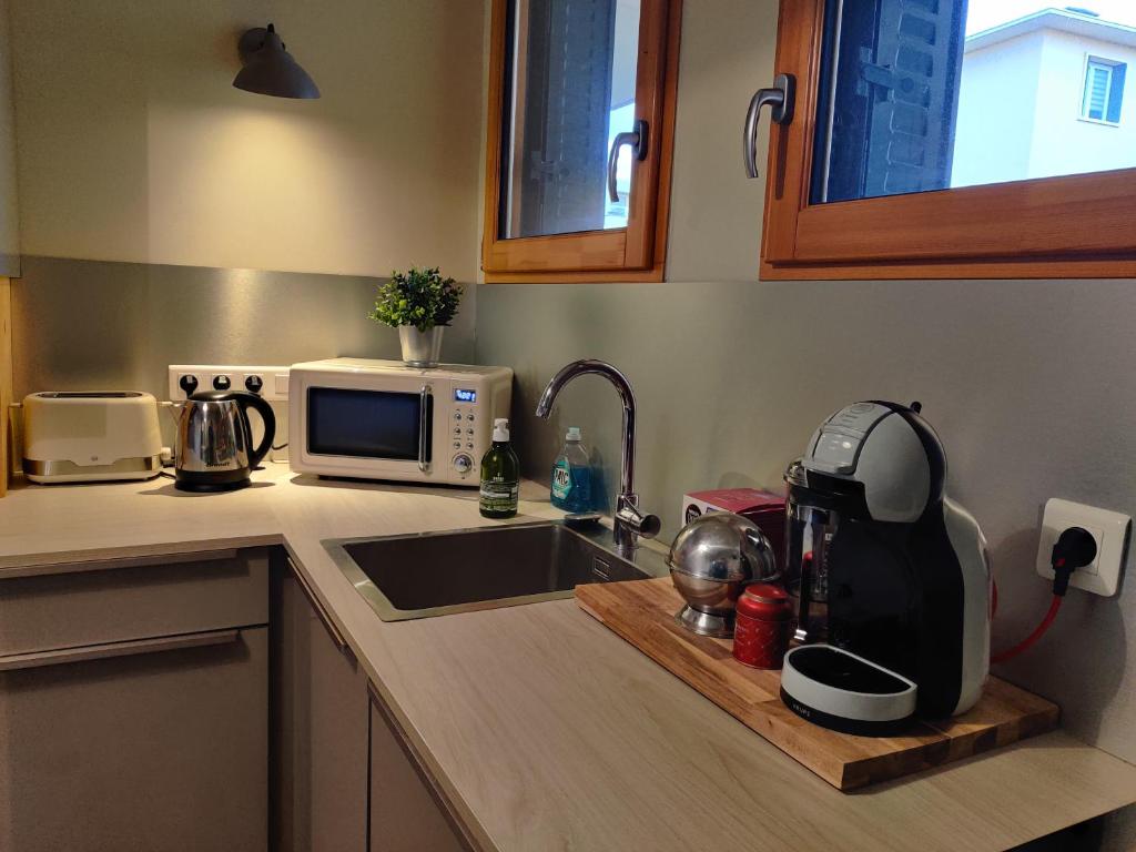 a kitchen counter with a sink and a microwave at Appartement du parc des thermes in Thonon-les-Bains