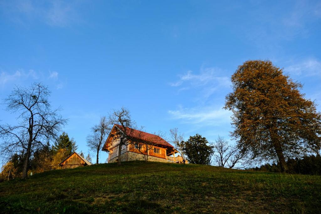una vecchia casa in cima a una collina erbosa di Cottage Golenovo a Podvelka
