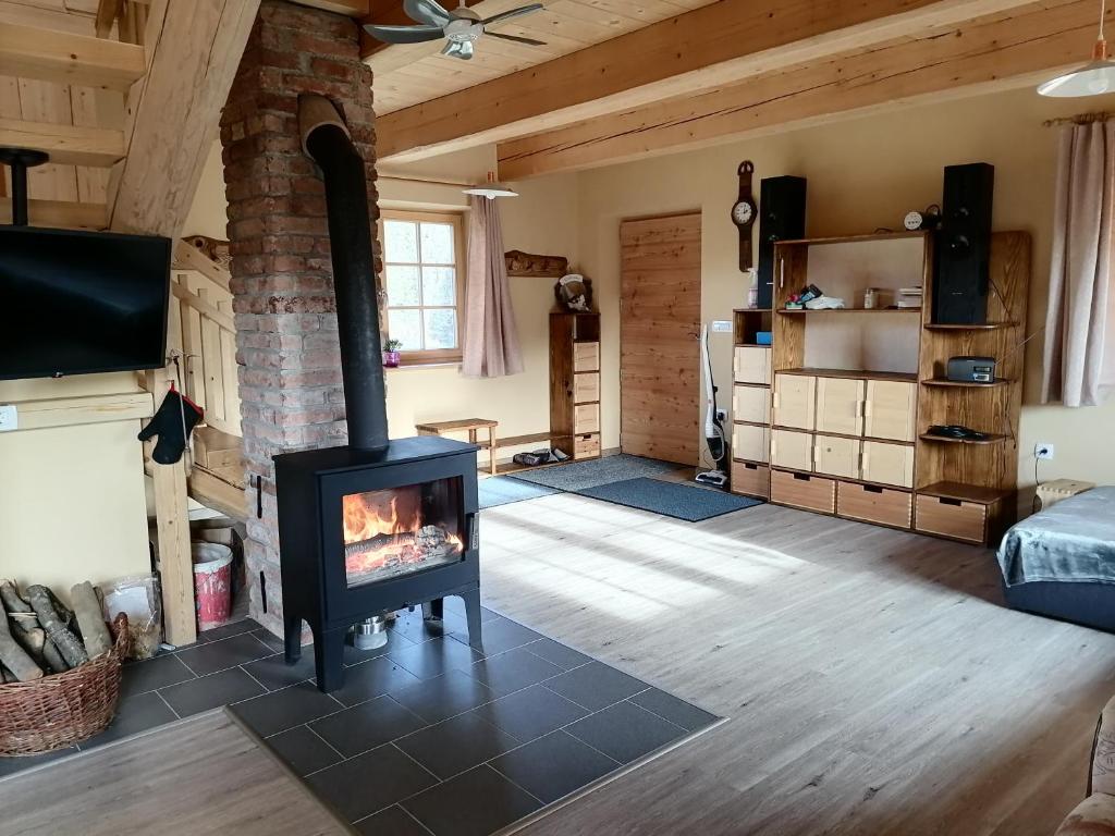 TV a/nebo společenská místnost v ubytování Cottage Golenovo