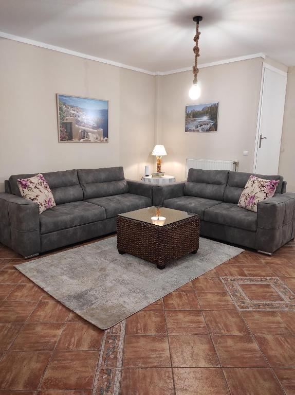 Smart Choice Home في Néon Rýsion: غرفة معيشة مع أريكة وطاولة قهوة