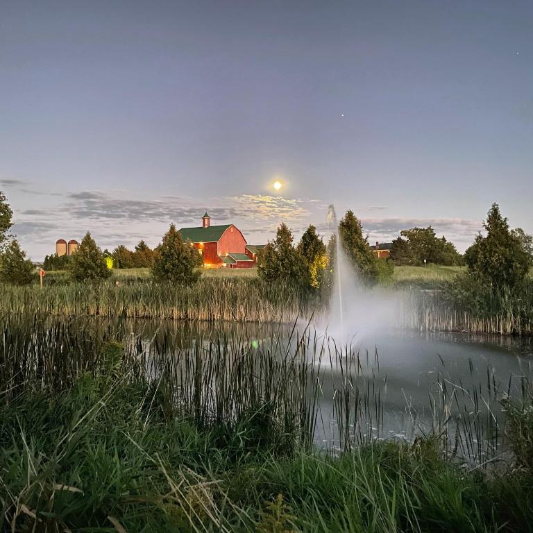 Natuurlandschap vlak bij het hotel