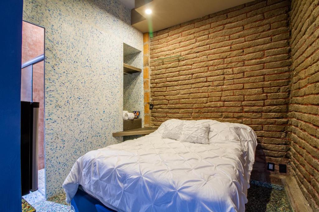 TOLTEQUIDAD Warm Ecostay Near Downtown, Guadalajara (updated prices 2024)