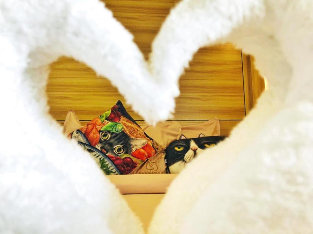 Cat Story Hotel - Resim 39