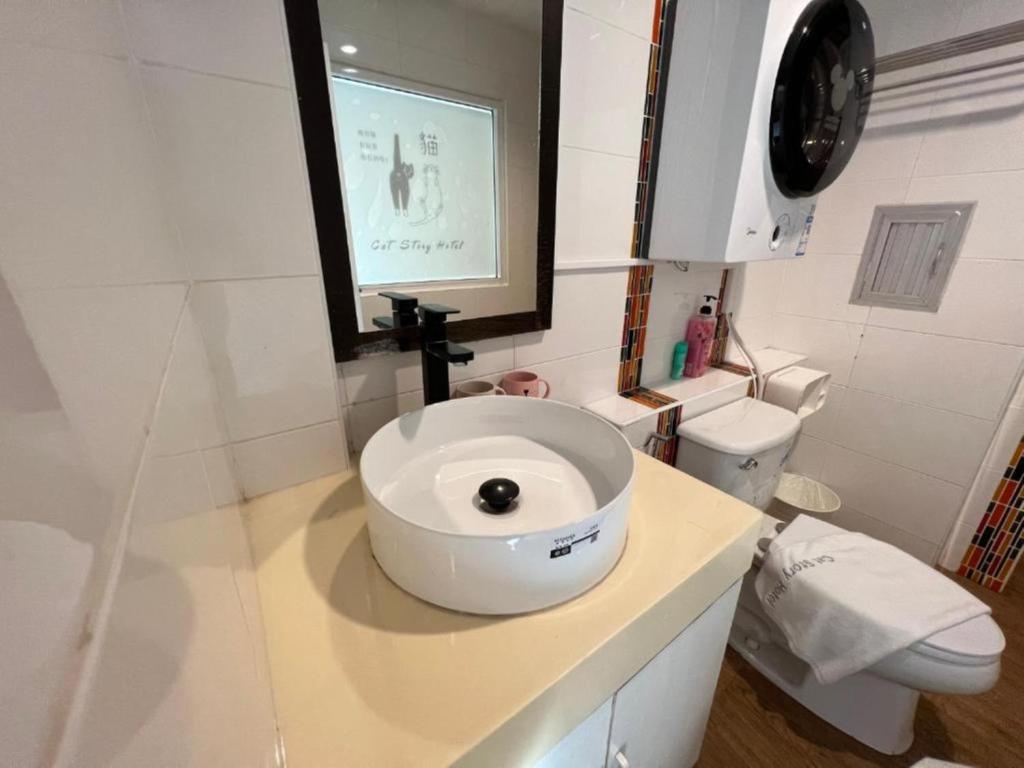 Cat Story Hotel - Resim 42