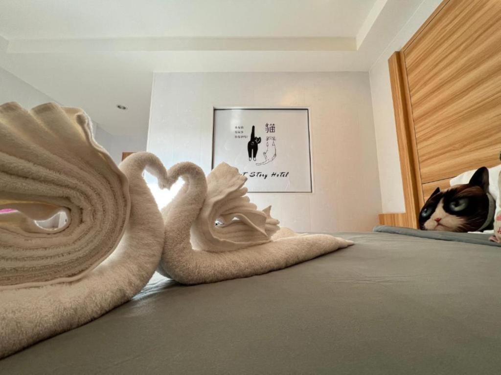 Cat Story Hotel - Resim 34