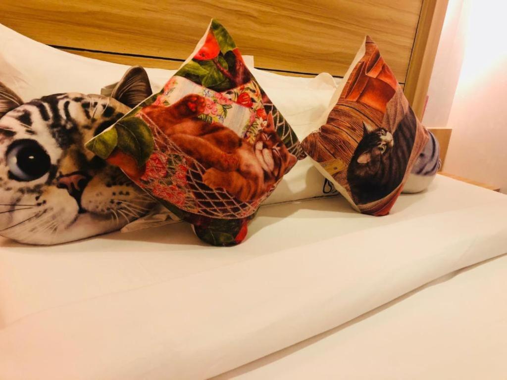 Cat Story Hotel - Resim 45