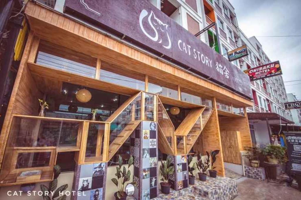 Cat Story Hotel - Resim 15