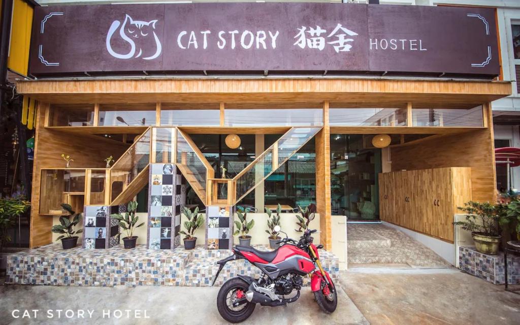 Cat Story Hotel - Resim 14