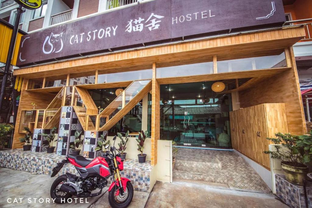 Cat Story Hotel - Resim 16