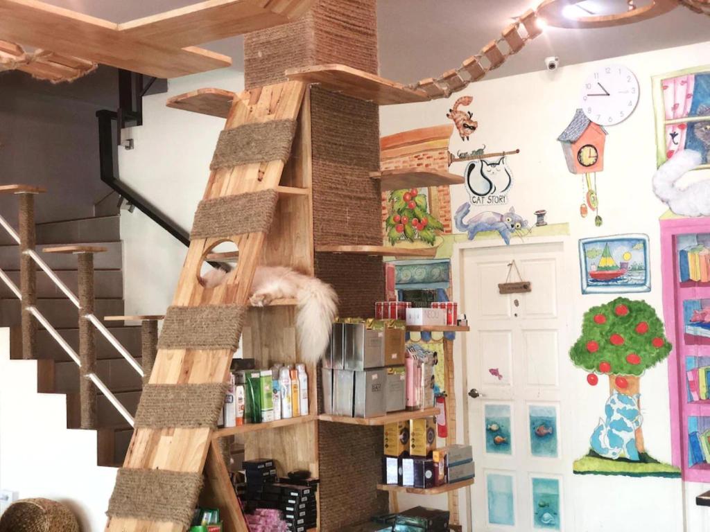 Cat Story Hotel - Resim 30