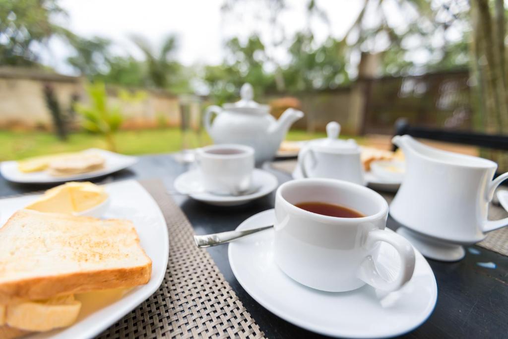 Shine Wave Turtle Beach - 4