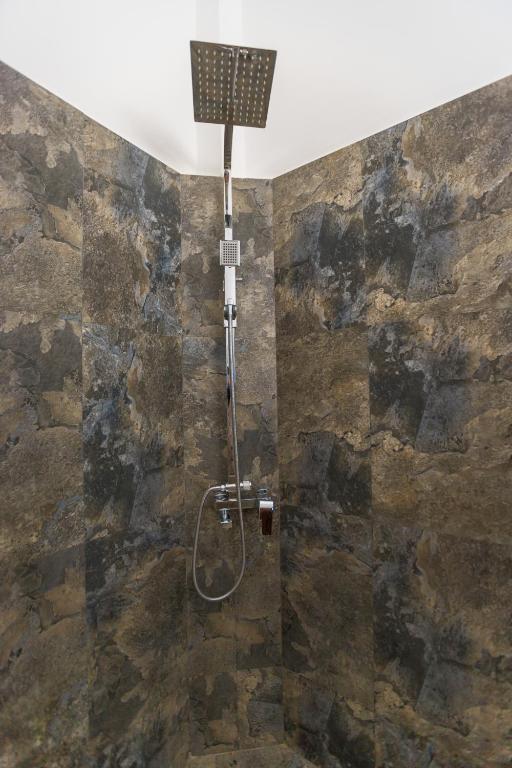 Shine Wave Turtle Beach - 19