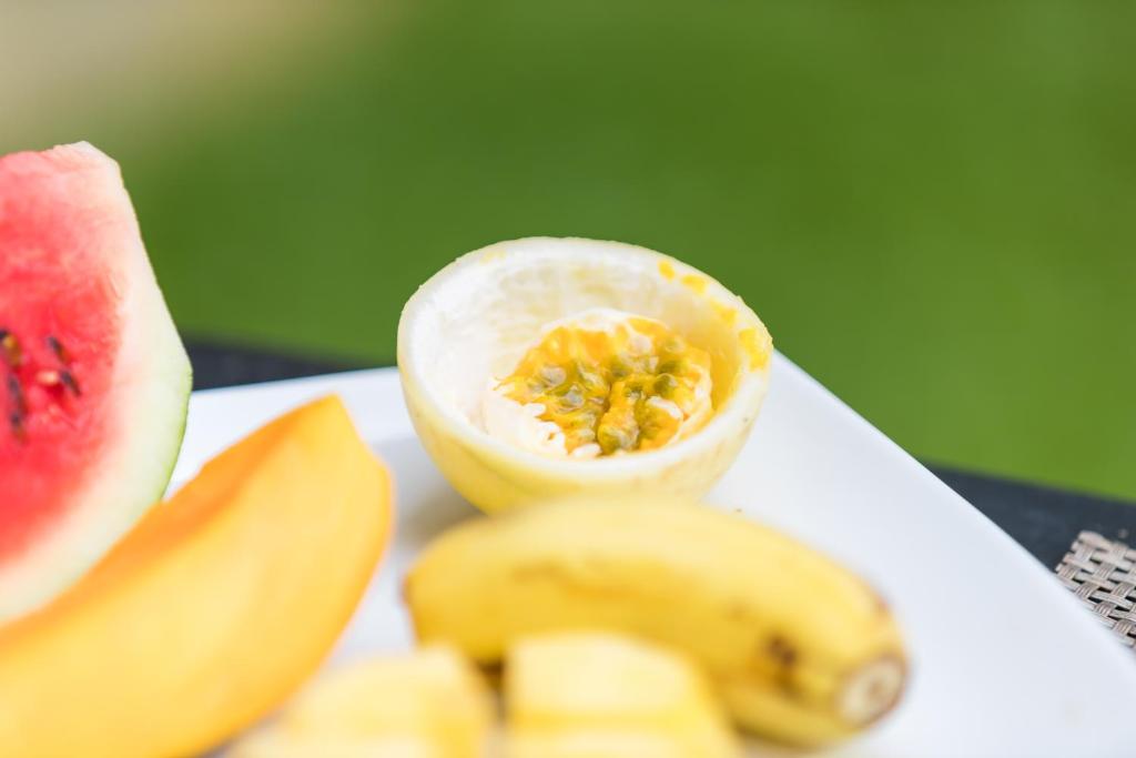 Shine Wave Turtle Beach - 10