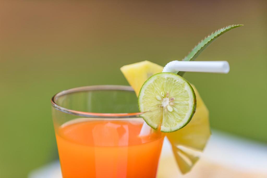 Shine Wave Turtle Beach - 6