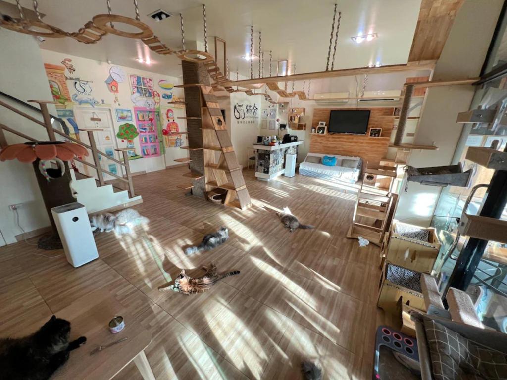 Cat Story Hotel - Resim 27