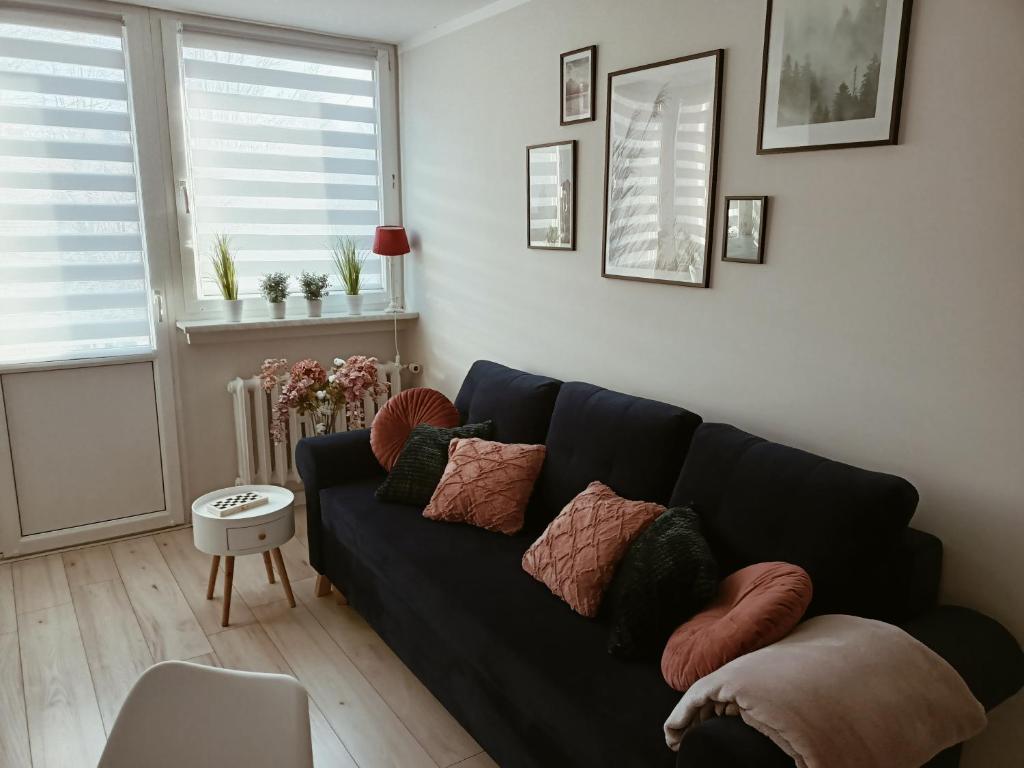 salon z czarną kanapą z poduszkami w obiekcie Apartament w Polanicy w Polanicy Zdroju