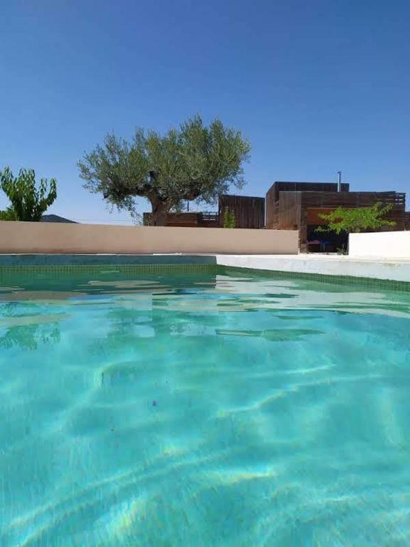 a pool of blue water with a tree in the background at Casa para tres hermanas in Bullas