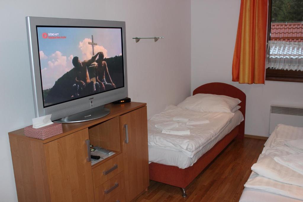 Televízia a/alebo spoločenská miestnosť v ubytovaní Zaži Apartmány Fatrapark Hrabovo