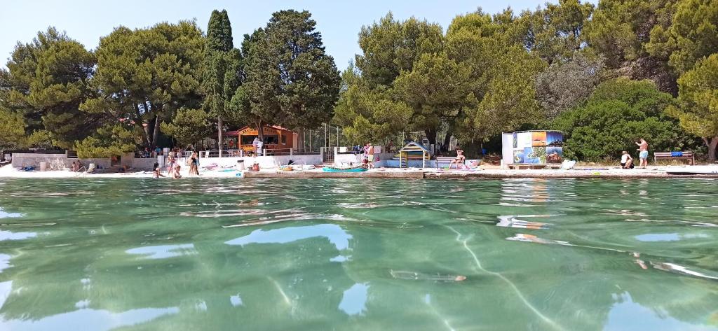 una piscina de agua con gente nadando en ella en Apartments Kornati, en Ždrelac