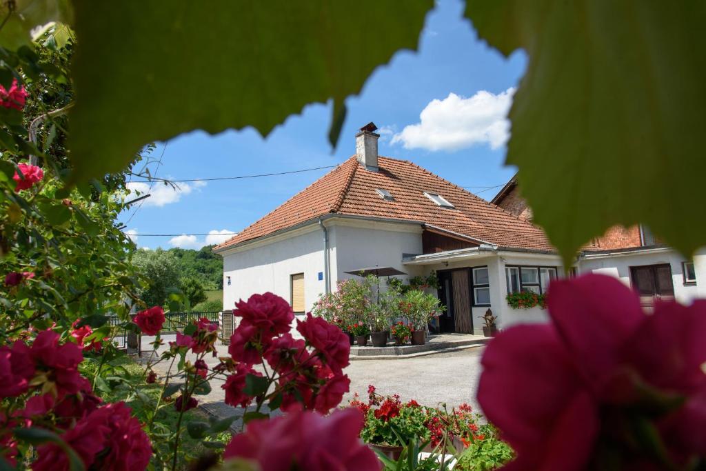 una casa con fiori rossi davanti di Apartment Mia a Donja Pačetina