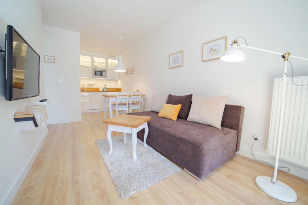 Televízia a/alebo spoločenská miestnosť v ubytovaní Apartamenty EverySky - Osiedle Podgórze 1E