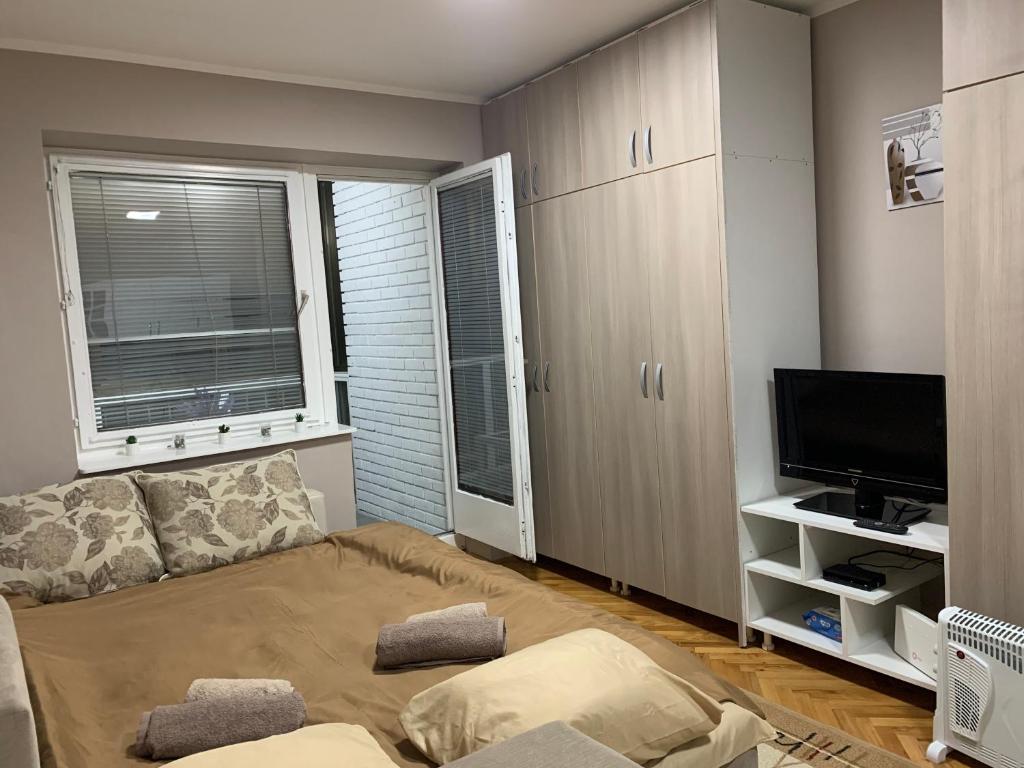 TV a/nebo společenská místnost v ubytování Apartman Djuric Paracin