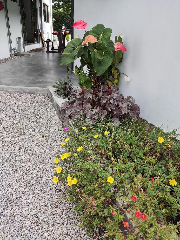 Zahrada ubytování Mount Simpson 2-Beds Sleeps 4 5 mins to Beach