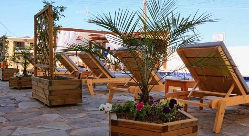 a group of chairs and potted plants on a patio at Olga Studios in Kokkíni Khánion