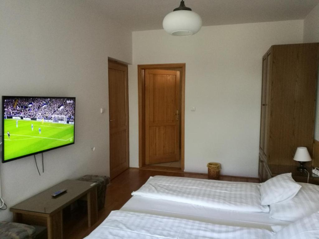 TV a/nebo společenská místnost v ubytování Gründner Vendégház