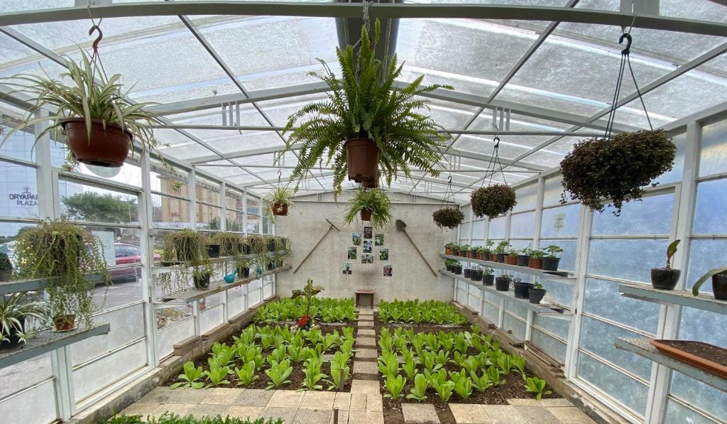 a greenhouse filled with plants and potted plants at Crowne Plaza Istanbul Oryapark by IHG in Istanbul