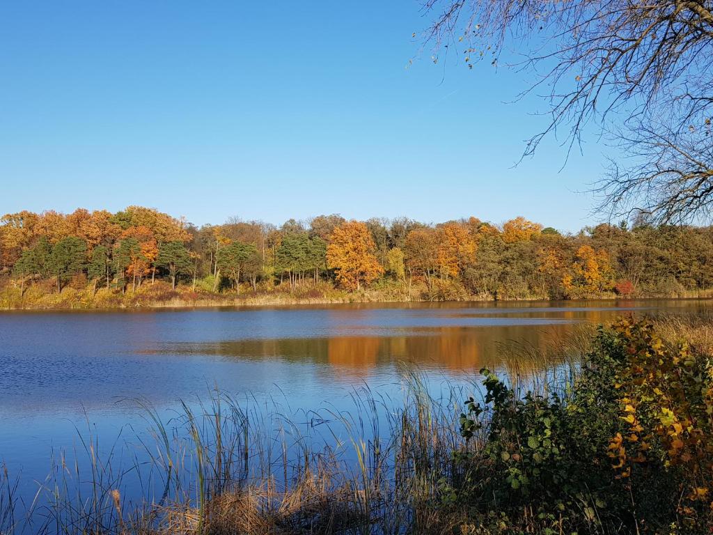 澤格雷茲的住宿－Przystan Zegrze，享有背景树木的湖泊美景