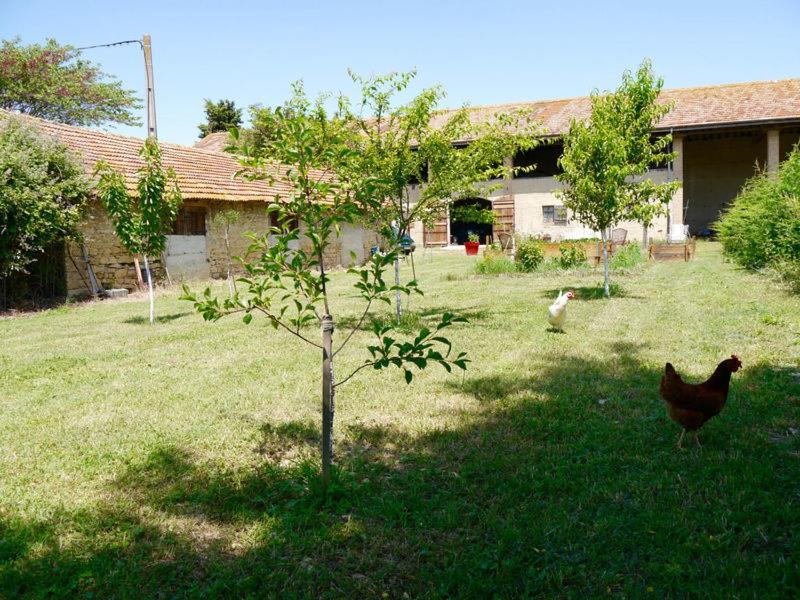 Zahrada ubytování ferme st pierre 2 suites avec repas, piscine, clim, cheminée ou baignoire spa