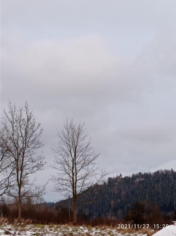 Príroda v okolí horskej chaty