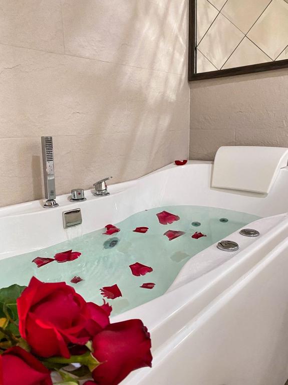 DE LUXE BOUTIQUE & rooftop - 19