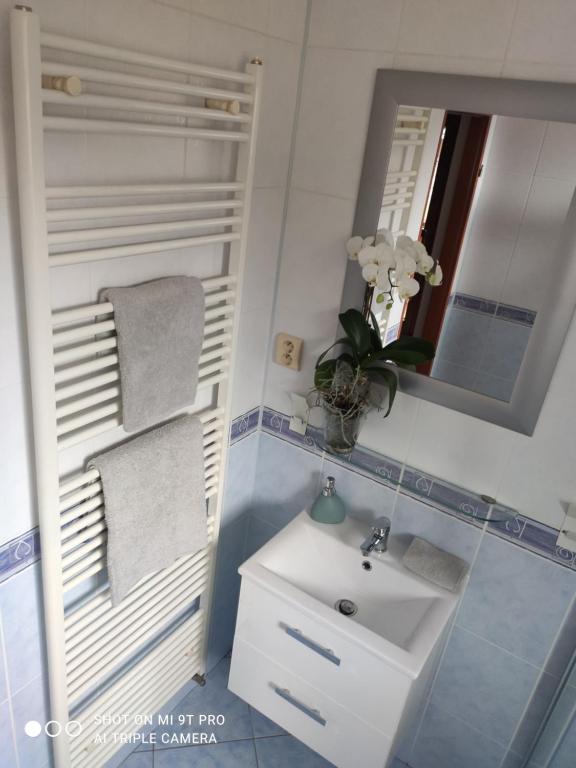Koupelna v ubytování Margus Apartmány