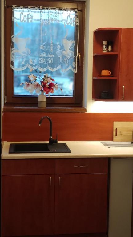 Kuchyň nebo kuchyňský kout v ubytování Margus Apartmány